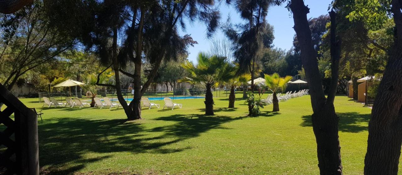 Stellamar Apart Hotel La Serena Extérieur photo